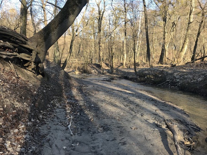 Kumielka w cieniach przedwiośnia