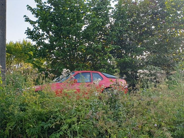 Ferrari w podelbląskich krzakach 