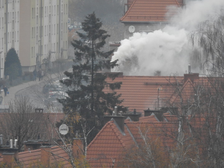 Listopadowy piękny poranek. Tylko oddychać pełną piersią!. Świeżutkie powietrze przy Parku Kajki - od ul. Fałata.