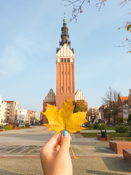 Jesień na Katedrze