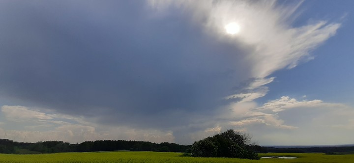 Piękna rozwiana komórka burzowa. Lato w pełni (Elbląg ,modrzewie)