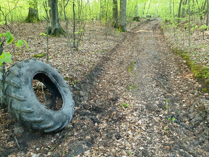 Opona leśników 