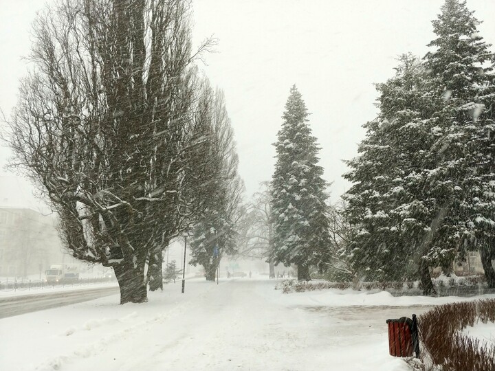 Śnieżyca w mieście