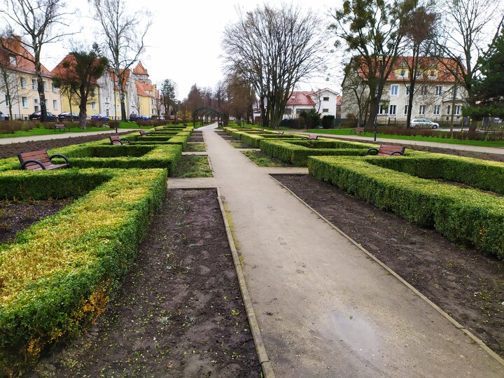 ZZM - pamięta o ogrodzie różanym. Zdjęcie budzącego się do życia ogrodu różanego./Park im. Michała Kajki/ Pamiętajmy o ogrodach aby zawsze były piękne. Szanujmy pracę innych.