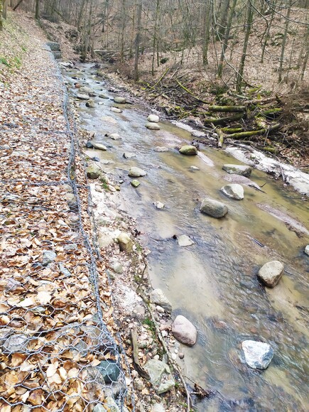 BIESZCZADY CZY BAŻANTARNIA ?