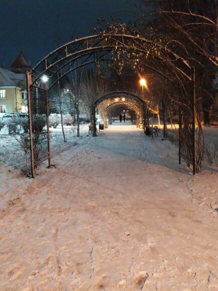 Park z tysiącem śpiących róż