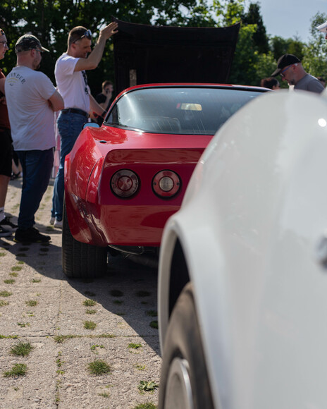 Corvette C3. 8 Spotkanie Elbląskich Klasyków