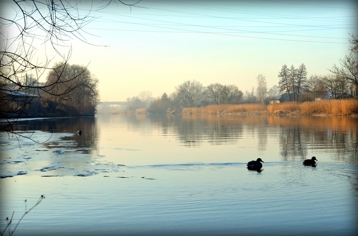 Kanał Elbląski-poranek cz,2