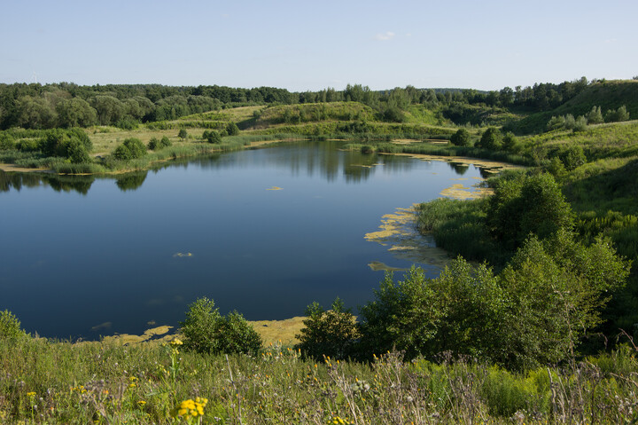 Czarny staw. Pasłęk