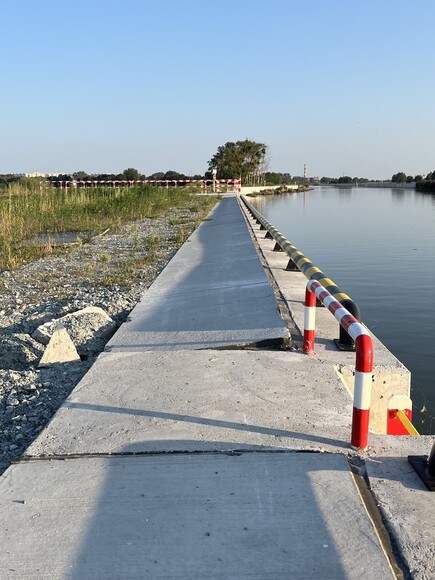 Niezdecydowana. Horyzontalna..., a może wertykalna...