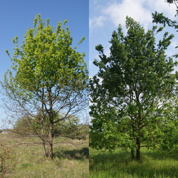 Wrażliwy twardziel II