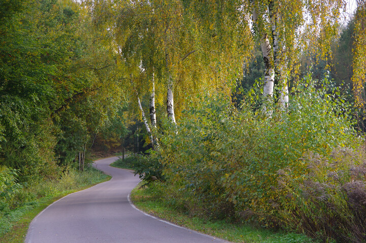 Pasłęcka jesień