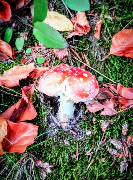 Wysoczyzna elbląska. Chyba ostatni w tym sezonie