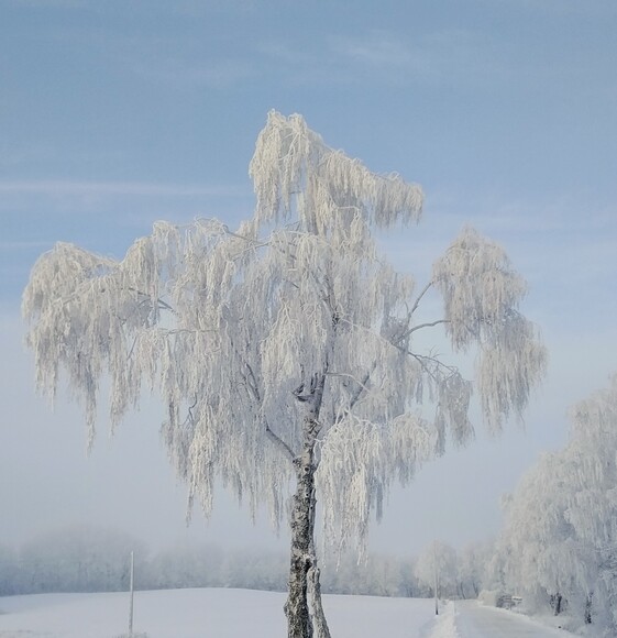 Droga do Stobojów. 08-01-2026r