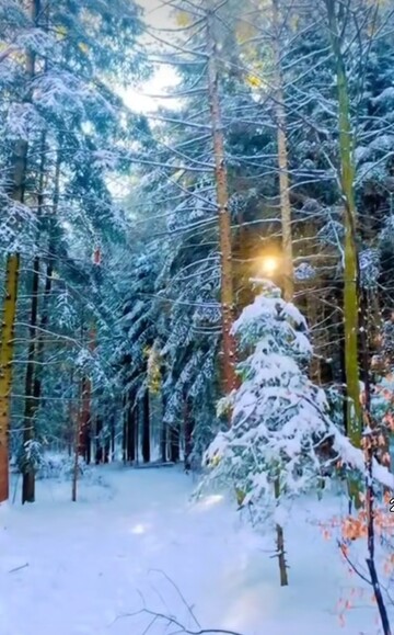 Piękno Natury !. Bażantarnia Elbląg