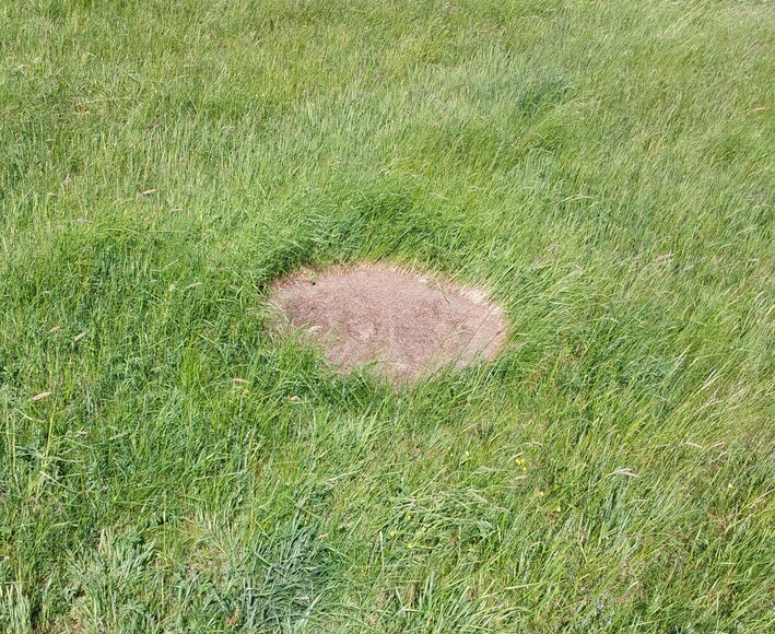 UFO. Tu byliśmy ufoludki.