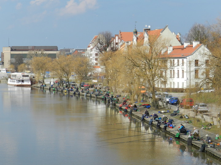 Zawody wędkarskie w Elblągu 13.04.2013 r