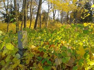 Zdjęcia tego autora