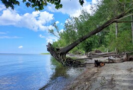 Zdjęcia tego autora