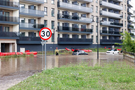 Zdjęcia tego autora