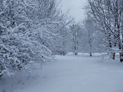 Zdjęcia tego autora