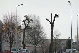 Zdjęcia tego autora