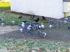 Zdjęcia tego autora