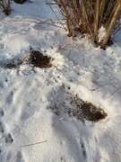 Zdjęcia tego autora