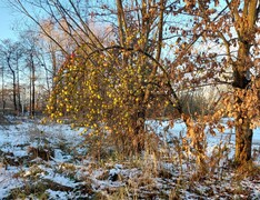 Zdjęcia tego autora