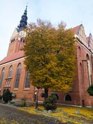 Zdjęcia tego autora