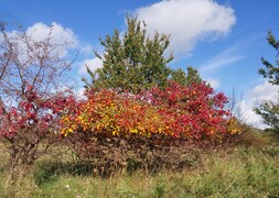 Zdjęcia tego autora