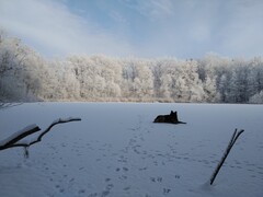 Zdjęcia tego autora