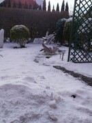 Zdjęcia tego autora