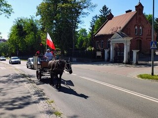 Końskie wybory