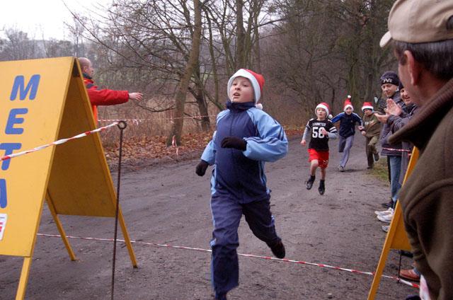 Elbląg Biegi w Bażantarni