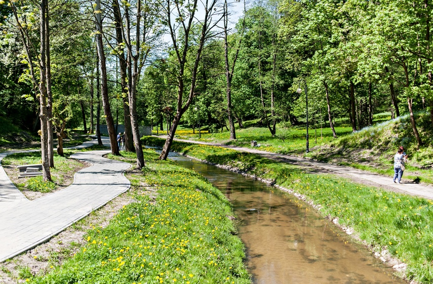 "Dolinka to obecnie plac budowy, a nie miejsce rekreacji" zdjęcie nr 239658