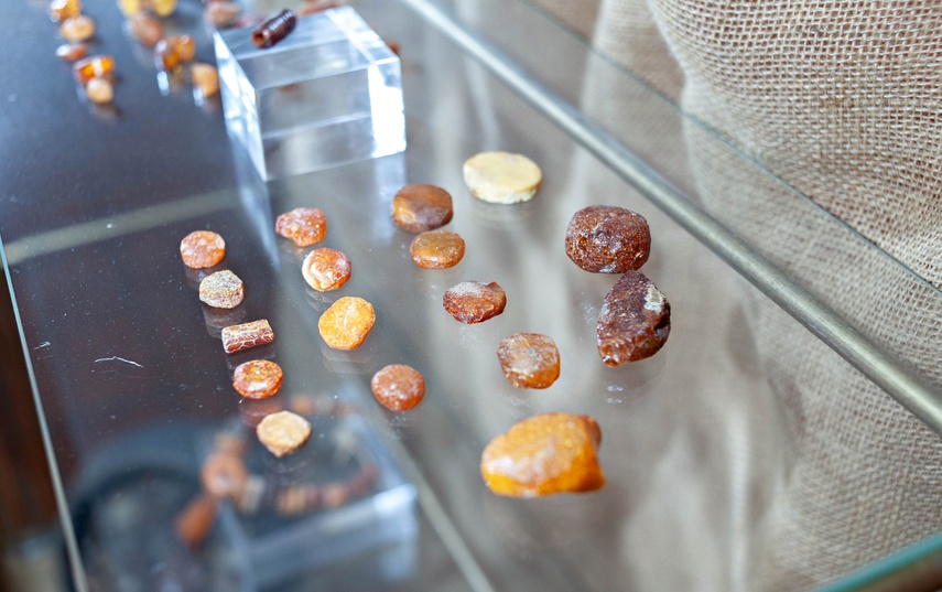 Podróż w czasie em>(Truso: Śladami wikingów, odc. 35) zdjęcie nr 240202