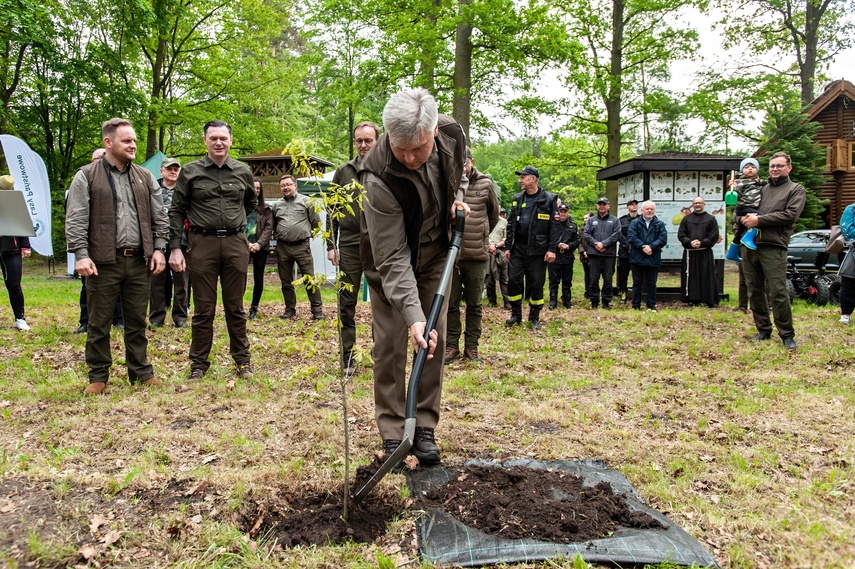 "Tysiąc drzew na minutę" zdjęcie nr 240297