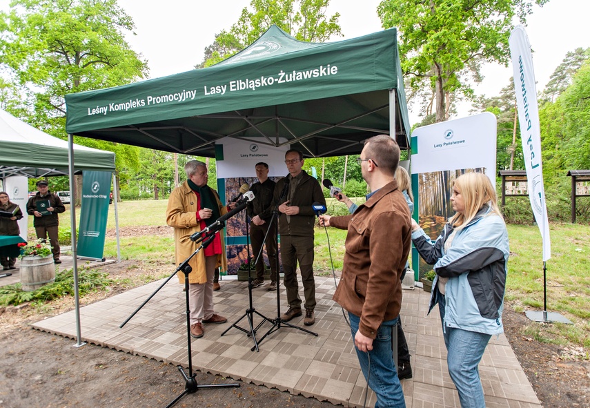 "Tysiąc drzew na minutę" zdjęcie nr 240285