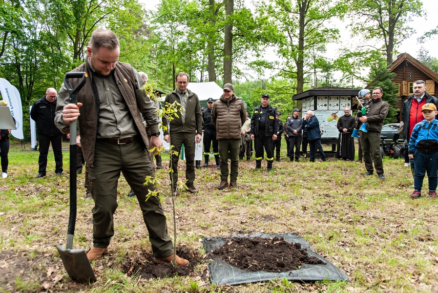 "Tysiąc drzew na minutę" zdjęcie nr 240296