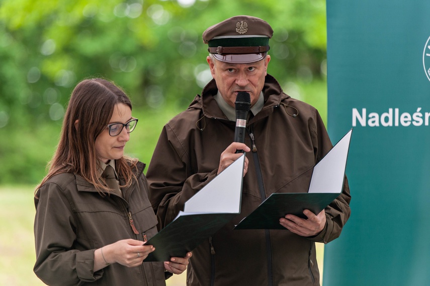 "Tysiąc drzew na minutę" zdjęcie nr 240279