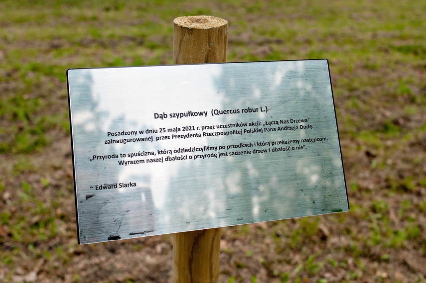 "Tysiąc drzew na minutę" zdjęcie nr 240292