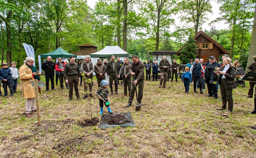 "Tysiąc drzew na minutę" zdjęcie nr 240300