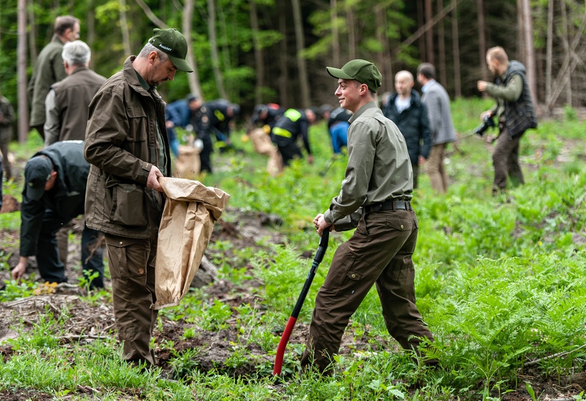 "Tysiąc drzew na minutę" zdjęcie nr 240312