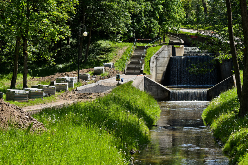 Coraz bliżej do rekreacji w parku Dolinka zdjęcie nr 240748