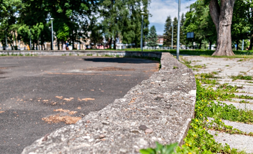 Miejskie parki czekają zmiany zdjęcie nr 241110