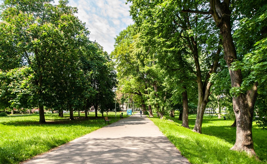 Miejskie parki czekają zmiany zdjęcie nr 241101