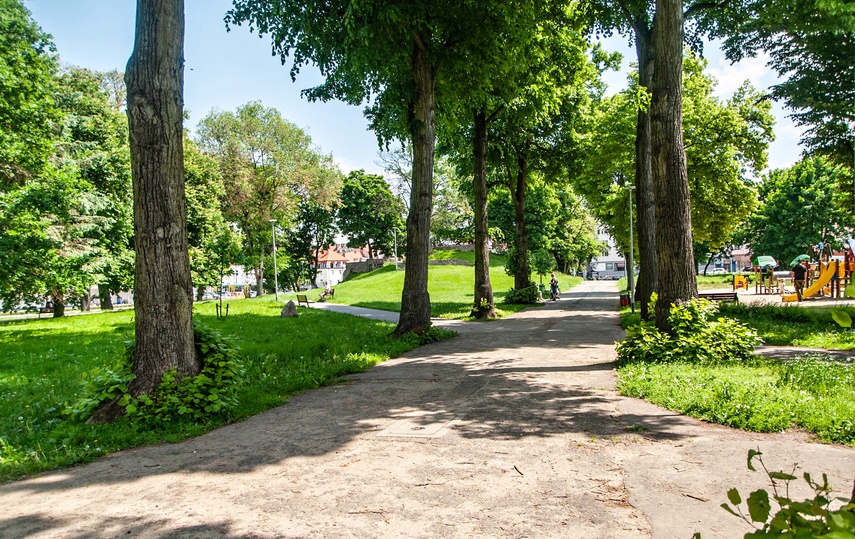 Miejskie parki czekają zmiany zdjęcie nr 241113