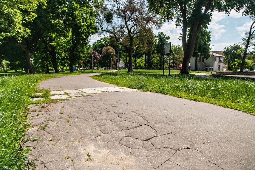 Miejskie parki czekają zmiany zdjęcie nr 241111