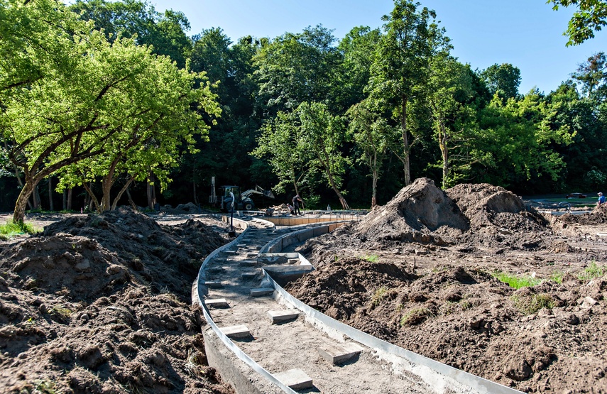 Trwają prace w parku Dolinka zdjęcie nr 241856